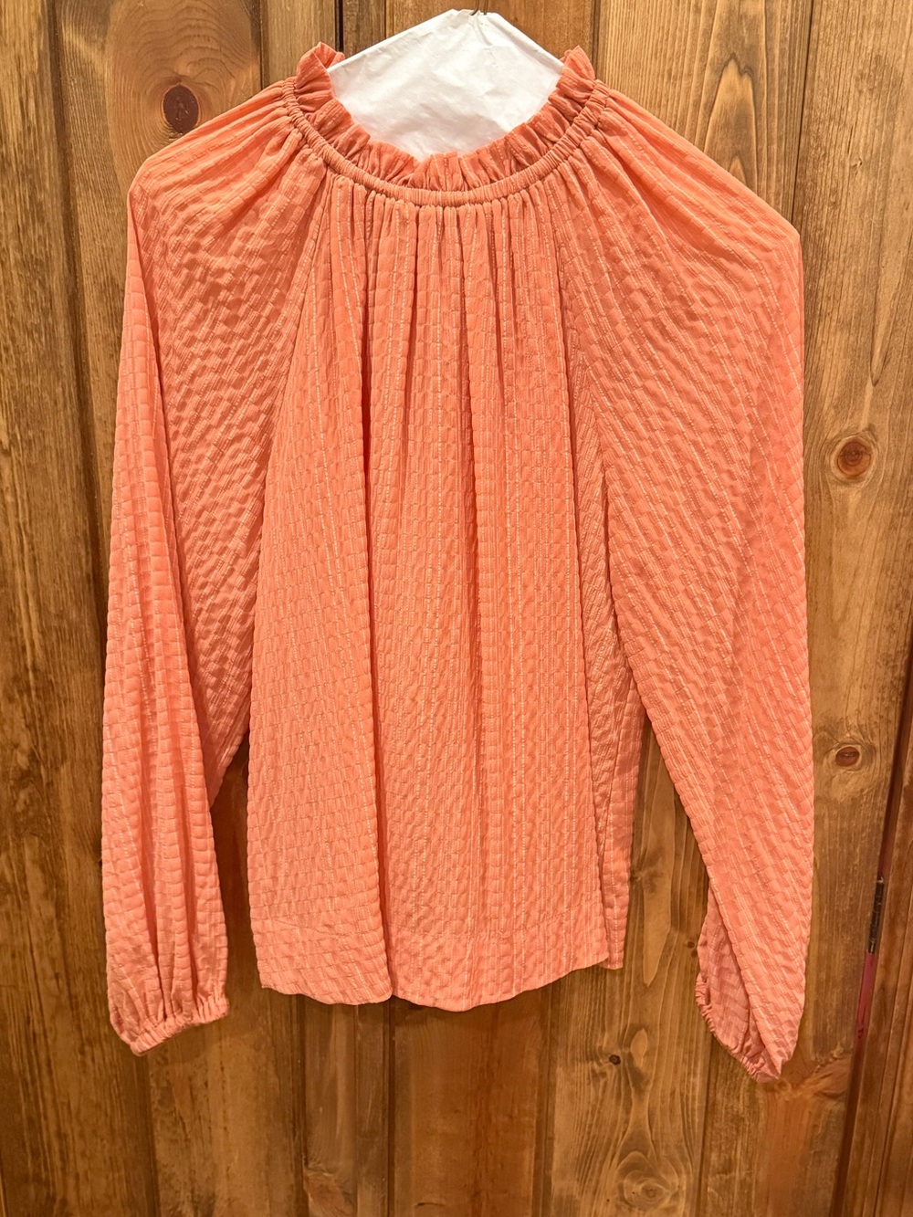 Prologue Anthropologie Coral‎ Textured Blouse XS